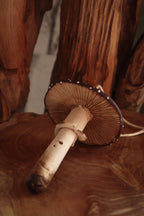 Grande suspension amanite