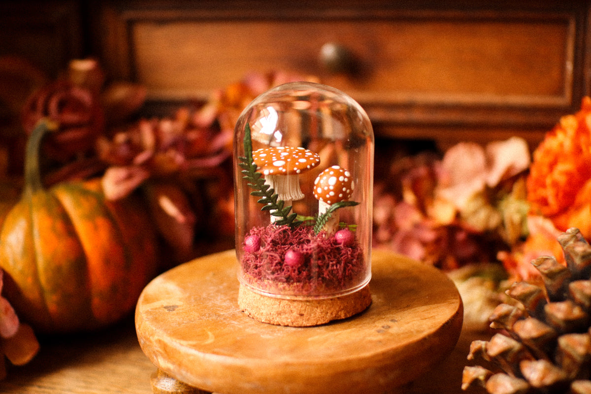 Mini-cloche aux amanites « Écrin de forêt »