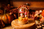 Mini-cloche aux amanites « Écrin de forêt »