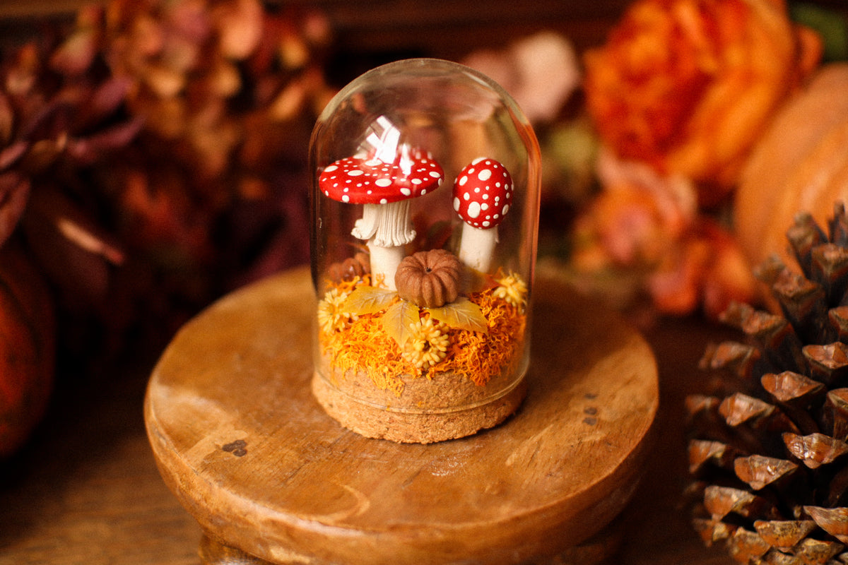 Mini-cloche aux amanites « Écrin de forêt »