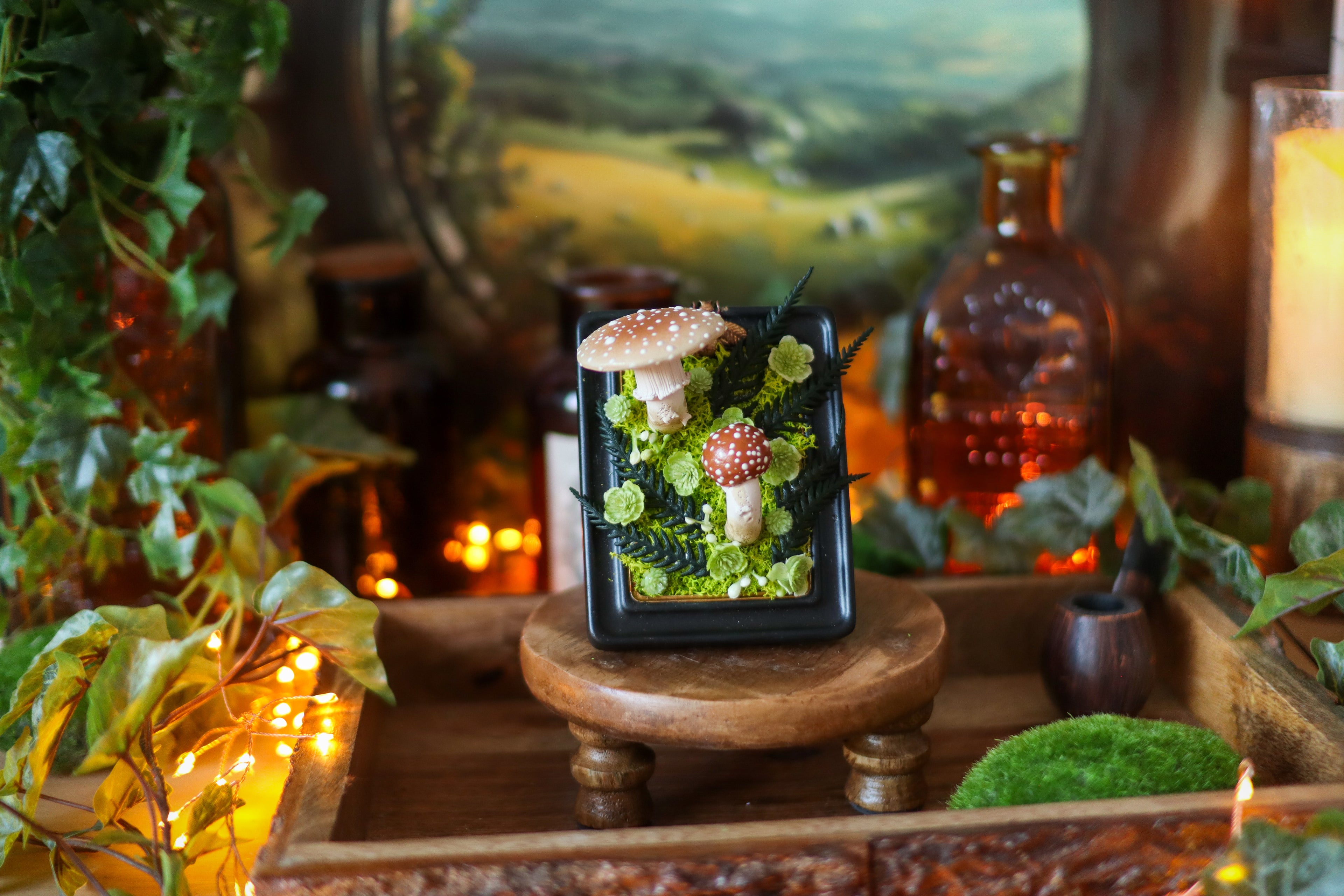 Petit cadre noir pour cabinet de curiosités aux champignons amanites rougissantes
