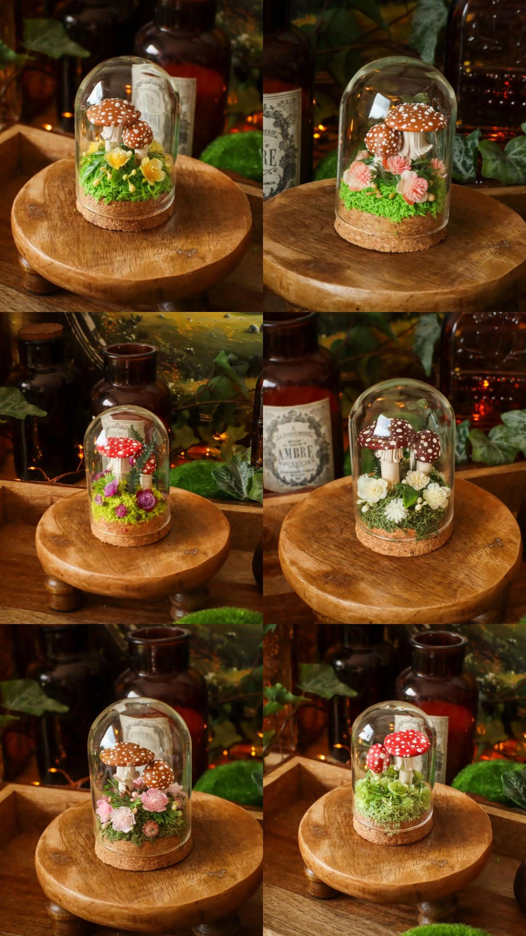Mini-cloche aux amanites « Écrin de forêt »