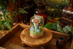 Mini-cloche aux amanites « Écrin de forêt »