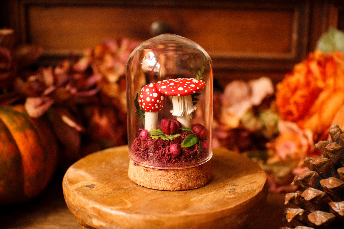 Mini-cloche aux amanites « Écrin de forêt »