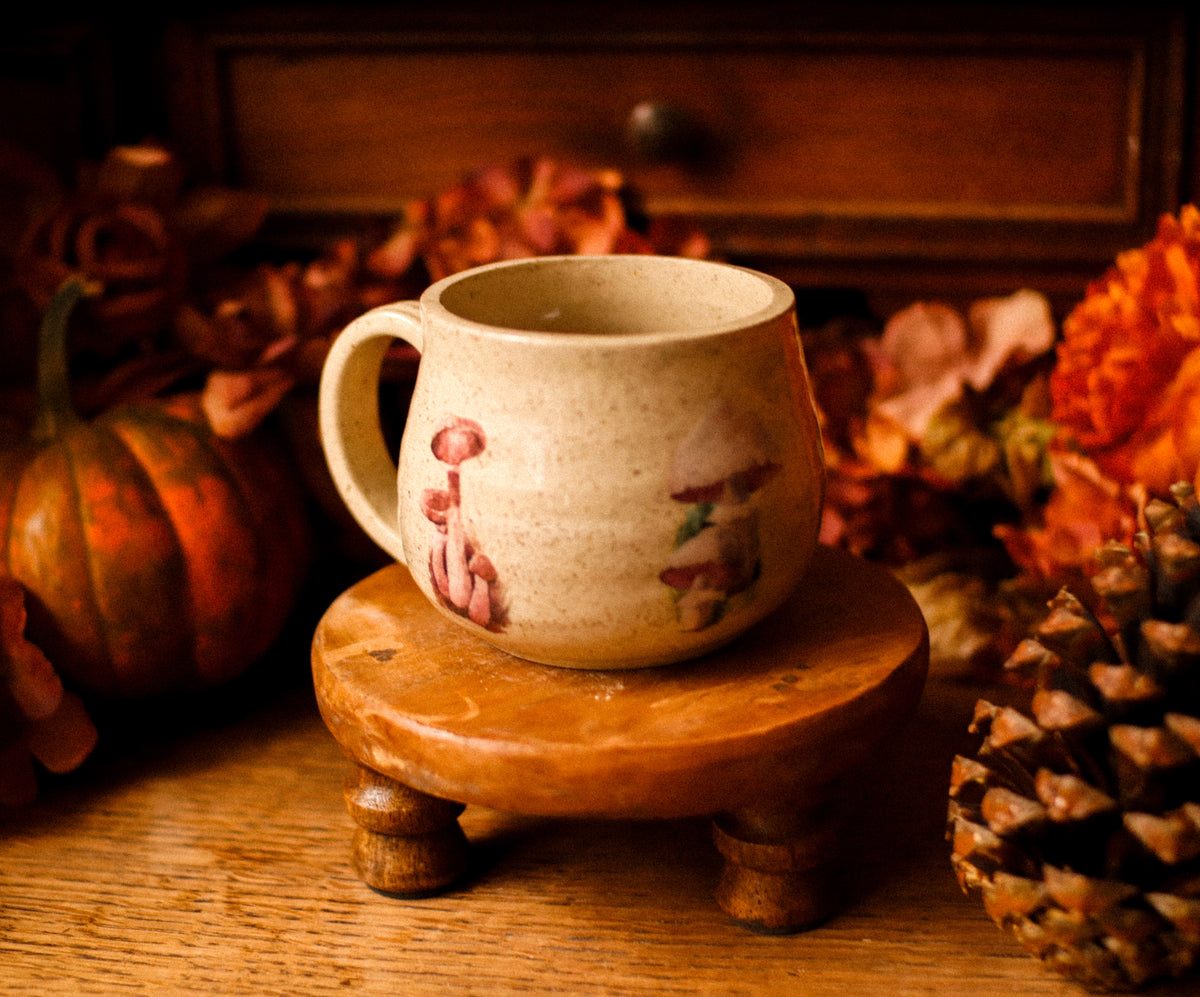 Tasse en grès style apothicaire « Cercle de fées  » champignons illustrés