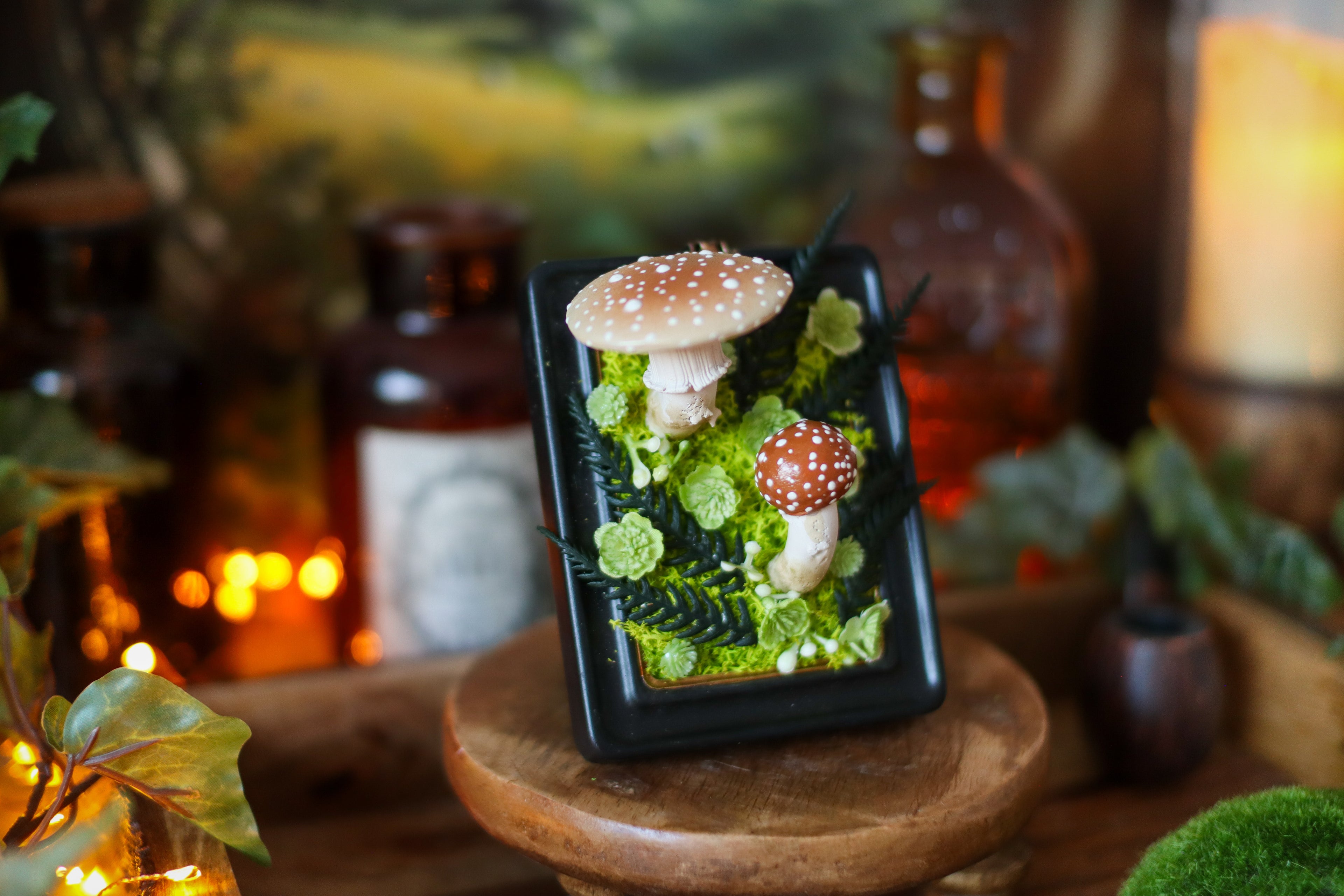 Petit cadre noir pour cabinet de curiosités aux champignons amanites rougissantes