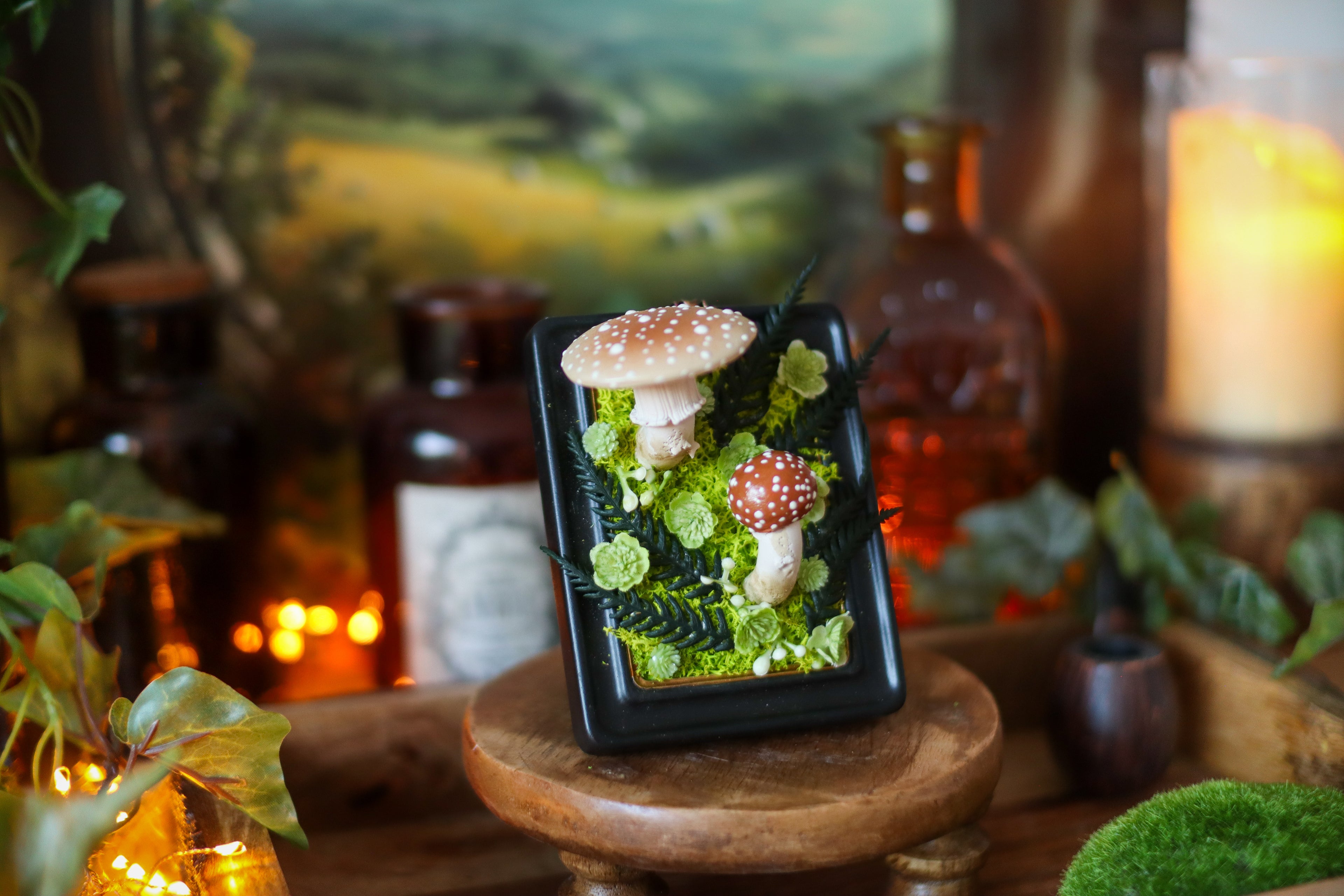 Petit cadre noir pour cabinet de curiosités aux champignons amanites rougissantes