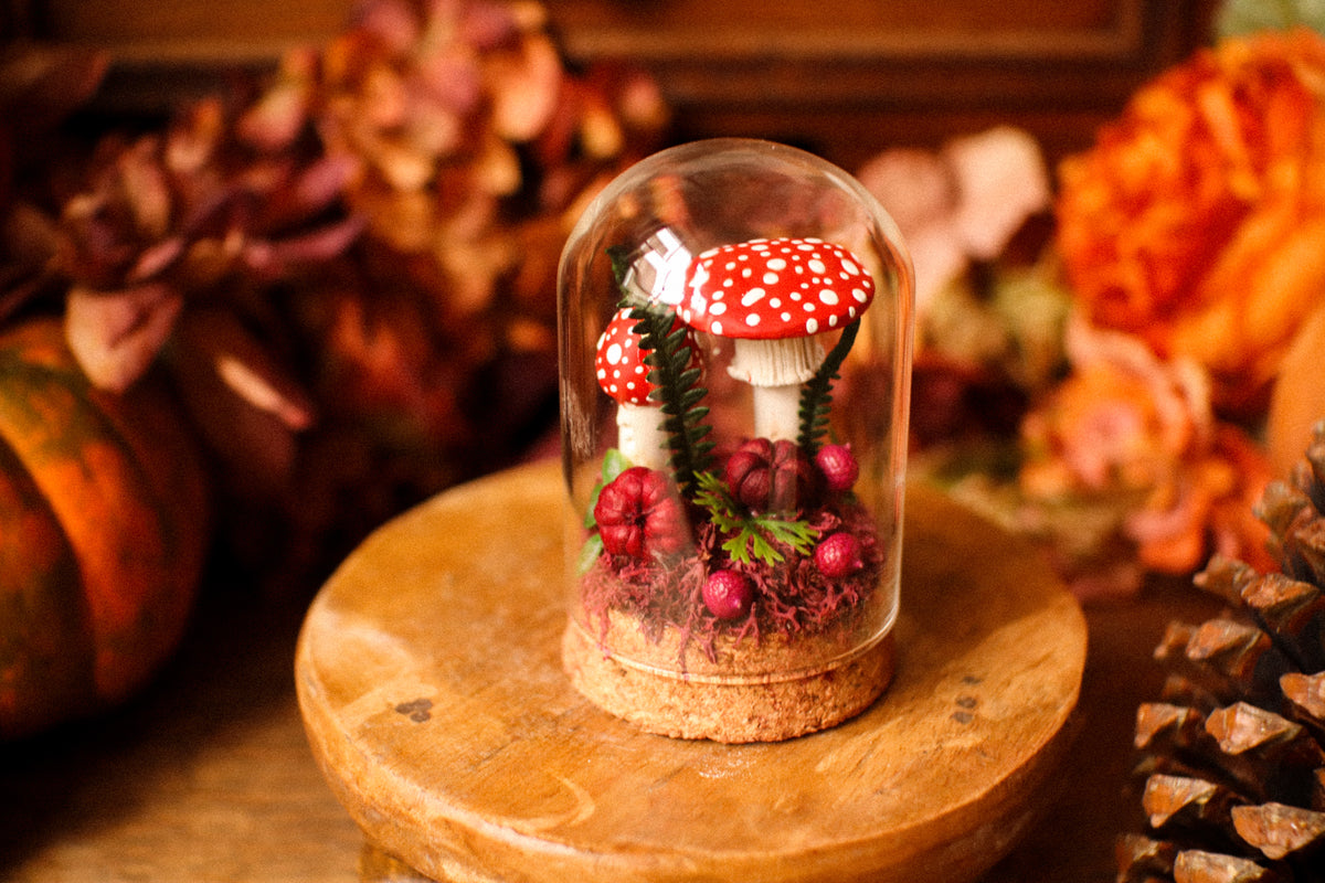 Mini-cloche aux amanites « Écrin de forêt »
