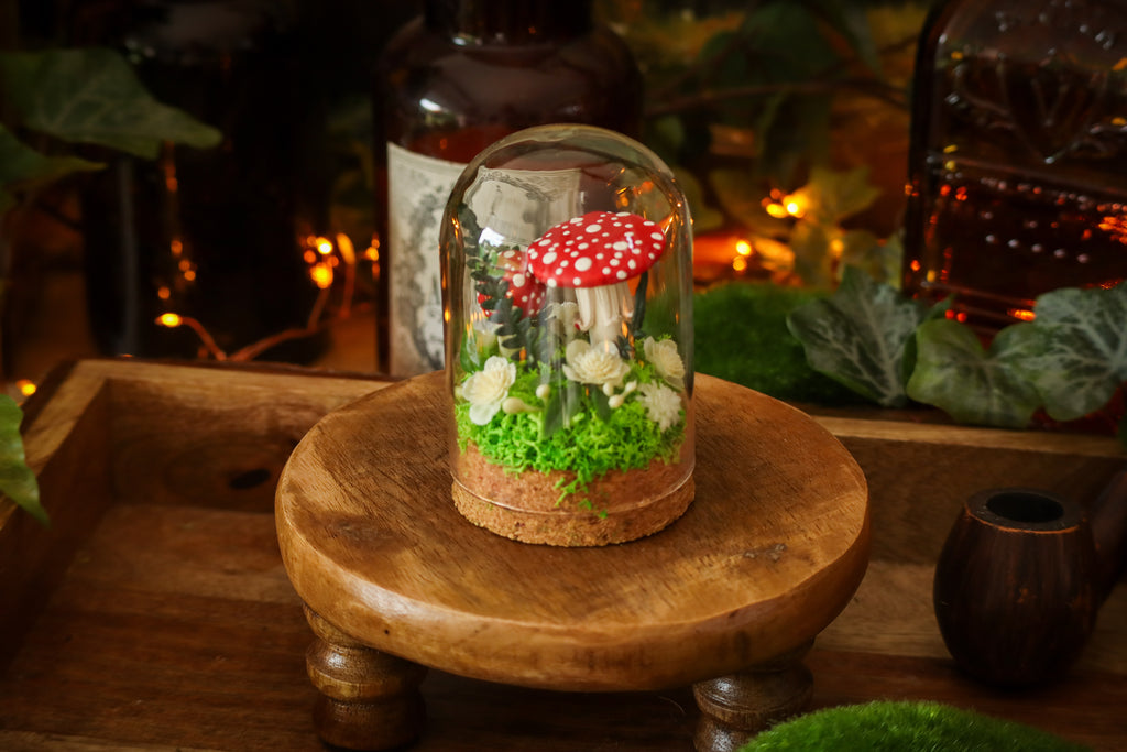 Mini-cloche aux amanites « Écrin de forêt »