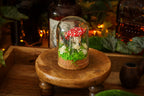 Mini-cloche aux amanites « Écrin de forêt »