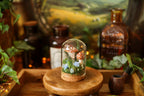 Mini-cloche aux amanites « Écrin de forêt »