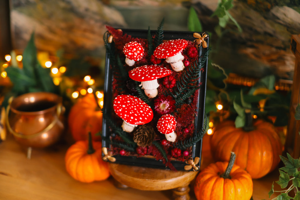 Cadre rectangulaire aux couleurs d'automne et amanites style cabinet de curiosités