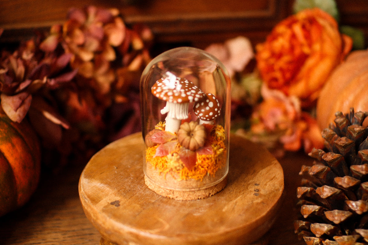 Mini-cloche aux amanites « Écrin de forêt »